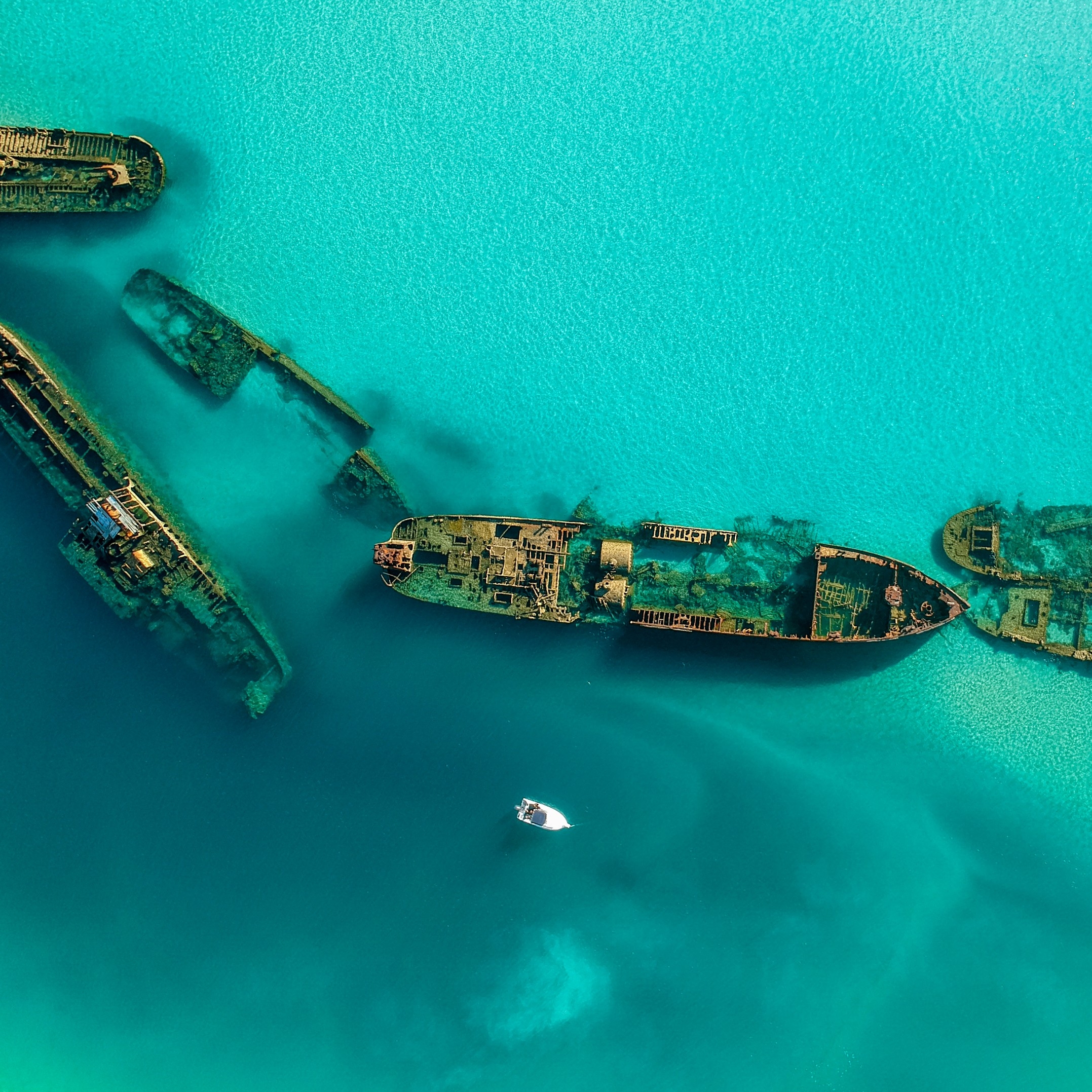 昆士兰州，摩顿岛的天阁露玛沉船残骸 © 澳大利亚旅游局版权所有