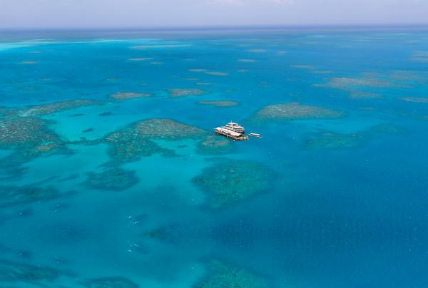 昆士兰州，大堡礁，戴恩树热带雨林，太阳恋人号礁岩巡游之旅，戴恩树桑顿海滩 © 昆士兰州，太阳恋人号礁岩巡游之旅