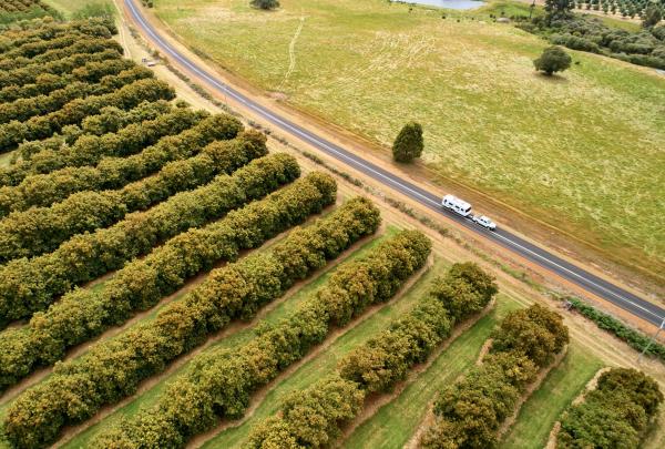 西澳大利亚州，彭伯顿 © Frances Andrich 版权所有