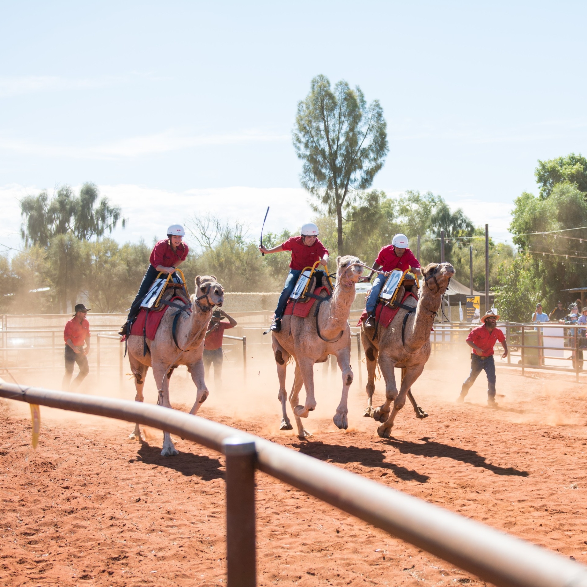 北领地，爱丽斯泉，爱丽斯泉骆驼杯大赛 © 澳大利亚旅游局版权所有