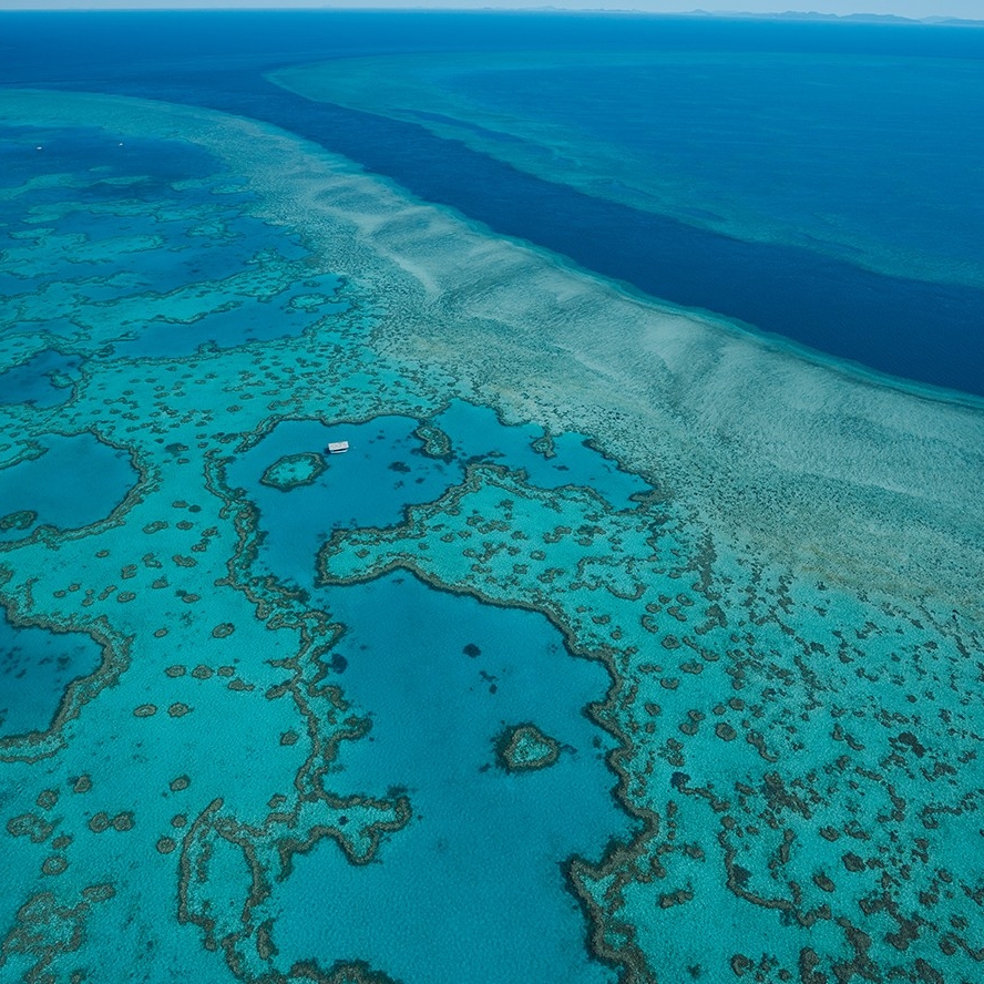 昆士兰州，圣灵群岛，Heli Reef © 澳大利亚旅游局版权所有
