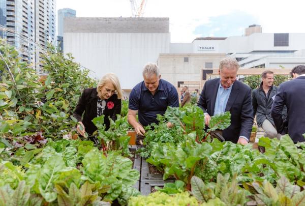 维多利亚州，墨尔本，天空农场 © 墨尔本天空农场版权所有