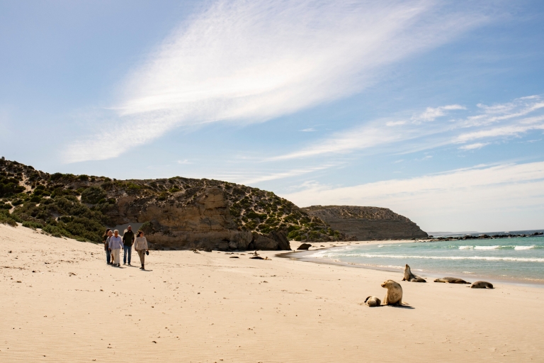 Seal Bay, Kangaroo Island, South Australia © Tourism Australia Seal Bay, Kangaroo Island, South Australia © Tourism Australia