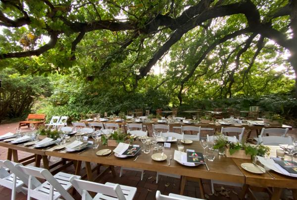 南澳大利亚州，阿德莱德，阿德莱德植物园 © 阿德莱德植物园