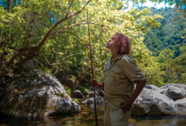 昆士兰州，戴恩树国家公园，莫斯曼峡谷，澳大利亚旅行度假集团  © 澳大利亚旅行度假集团