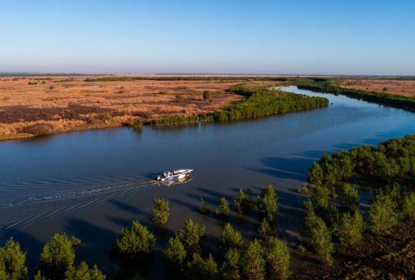 Wildman 垂钓之旅（ Wildman Fishing Tours）© Wildman Fishing Adventures