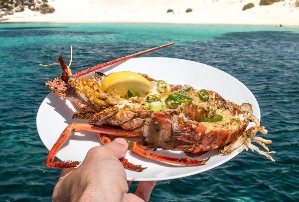 西澳大利亚州，罗特尼斯特岛巡游 © 罗特尼斯特岛游轮公司