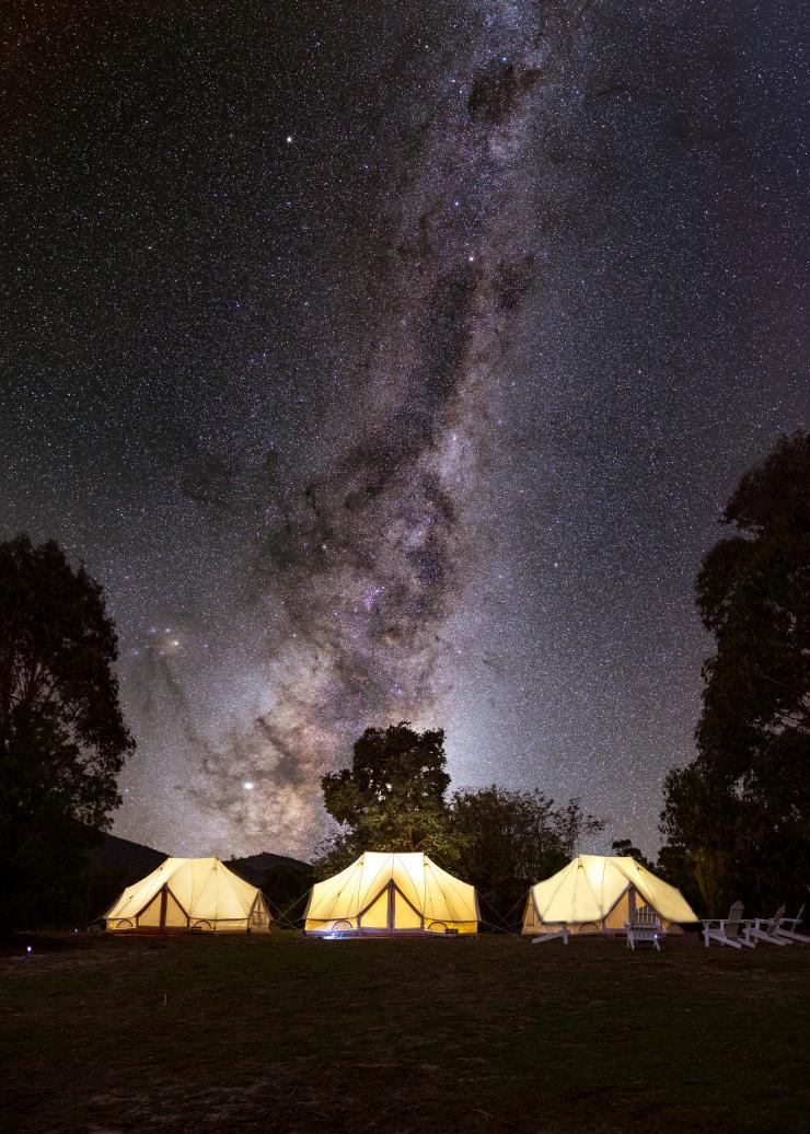 澳大利亚首都领地，Nature Group 豪华露营体验 © Lean Timms 版权所有