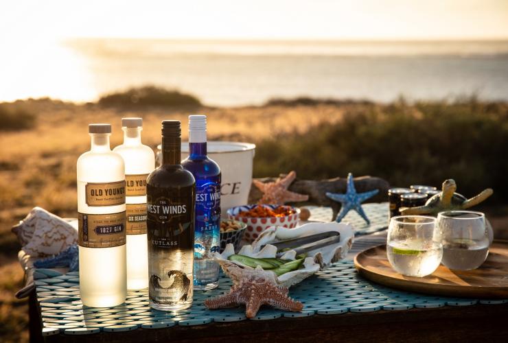 西澳大利亚州，萨尔萨利斯宁加洛珊瑚礁旁的手工杜松子酒酒吧 © 萨尔萨利斯宁加洛珊瑚礁版权所有