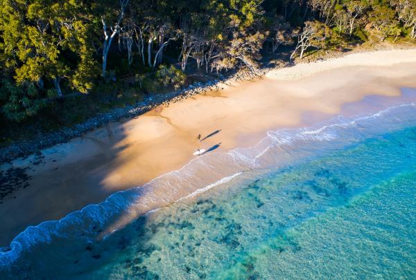 Surfers at Tea Tree Bay, Noosa Natonal Park, Queensland © Tourism and Events Queensland