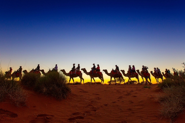 北领地，骆驼骑乘之旅 