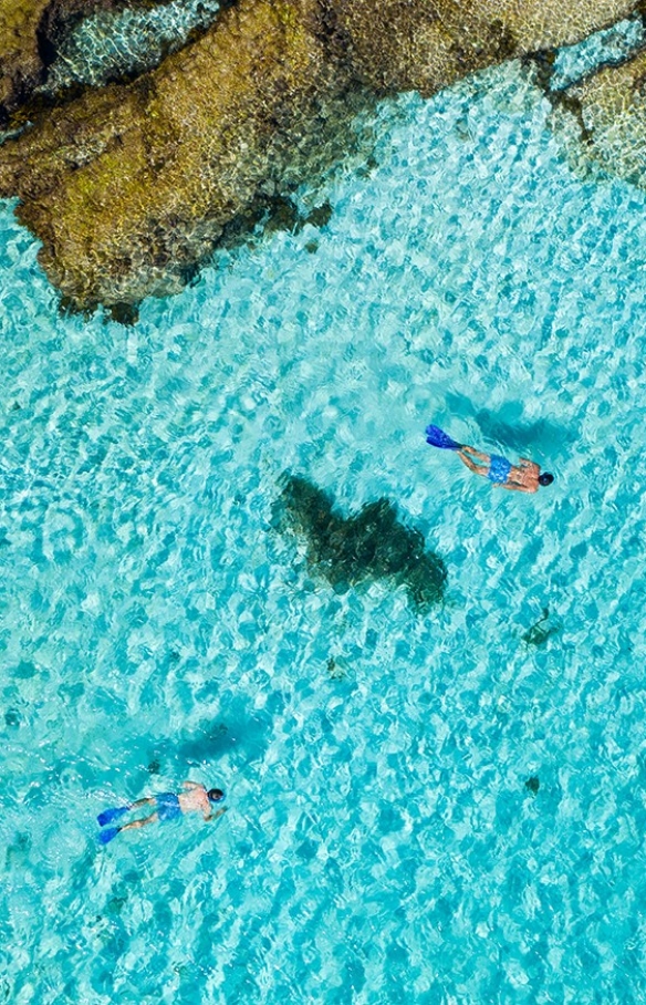 西澳大利亚州，罗特尼斯岛浮潜 © 澳大利亚旅游局版权所有