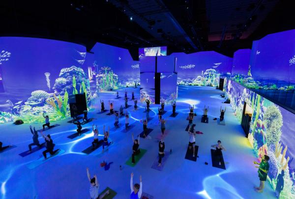 维多利亚州，墨尔本，Lume 画廊 © @jazblom / Lume 画廊版权所有