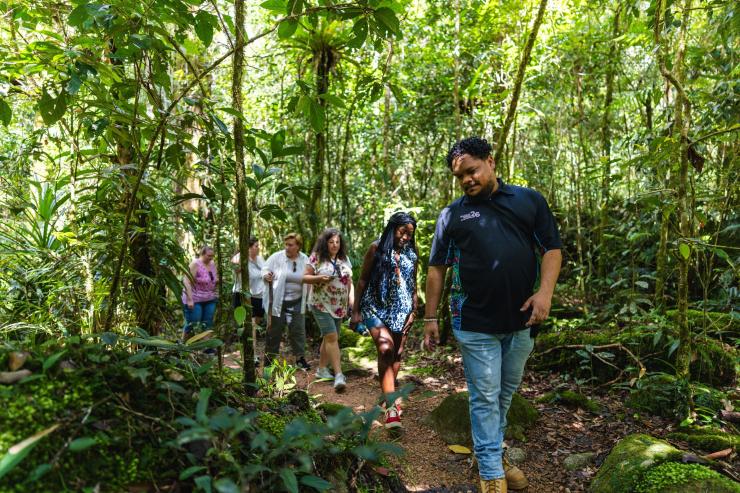 在热带北昆士兰地区的莫斯曼峡谷文化中心，一位原住民向导正带领一群具有多元背景的游客，沿着蜿蜒穿过茂密古老雨林的泥土步道前行，斑驳阳光透过树冠洒落林间。© 澳大利亚旅游局版权所有