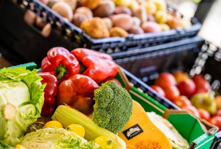 一筐被拯救的食物，由 OzHarvest 用于为有需要的人制作爱心餐。© OzHarvest 版权所有