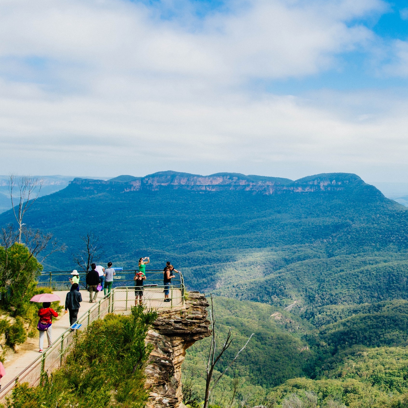 从新南威尔士州的蓝山观景点看到的蓝雾 © 澳大利亚旅游局版权所有