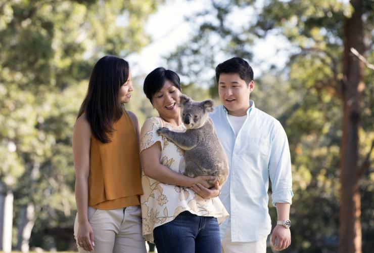 游客在龙柏考拉保护区拥抱考拉 © 澳大利亚旅游局版权所有