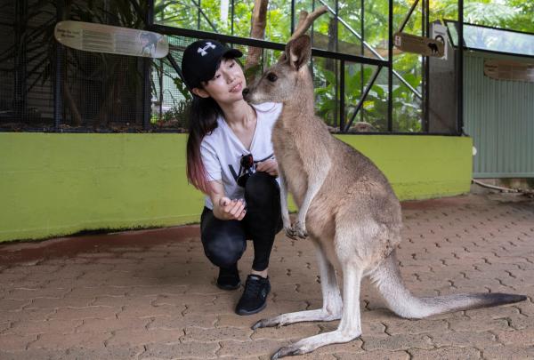 昆士兰州，凯恩斯，热带雨林自然公园，2019 安利（中国）海外研讨会 © 澳大利亚旅游局版权所有