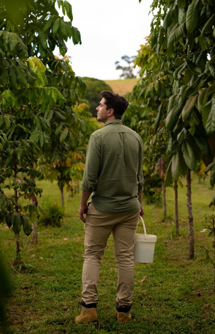 昆士兰州，热带北昆士兰地区，马兰达农作物©昆士兰州旅游及活动推广局版权所有
