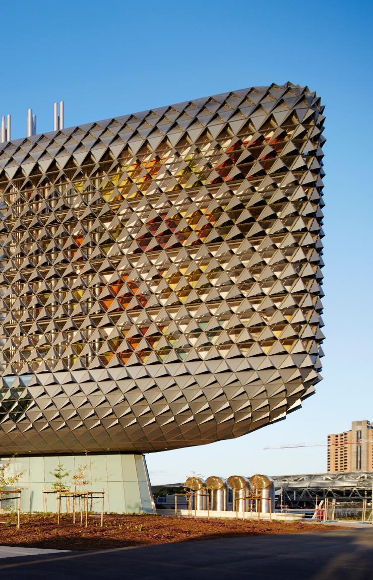 南澳大利亚州，阿德莱德，南澳大利亚州健康与医学研究所©Peter Clarke Photography版权所有