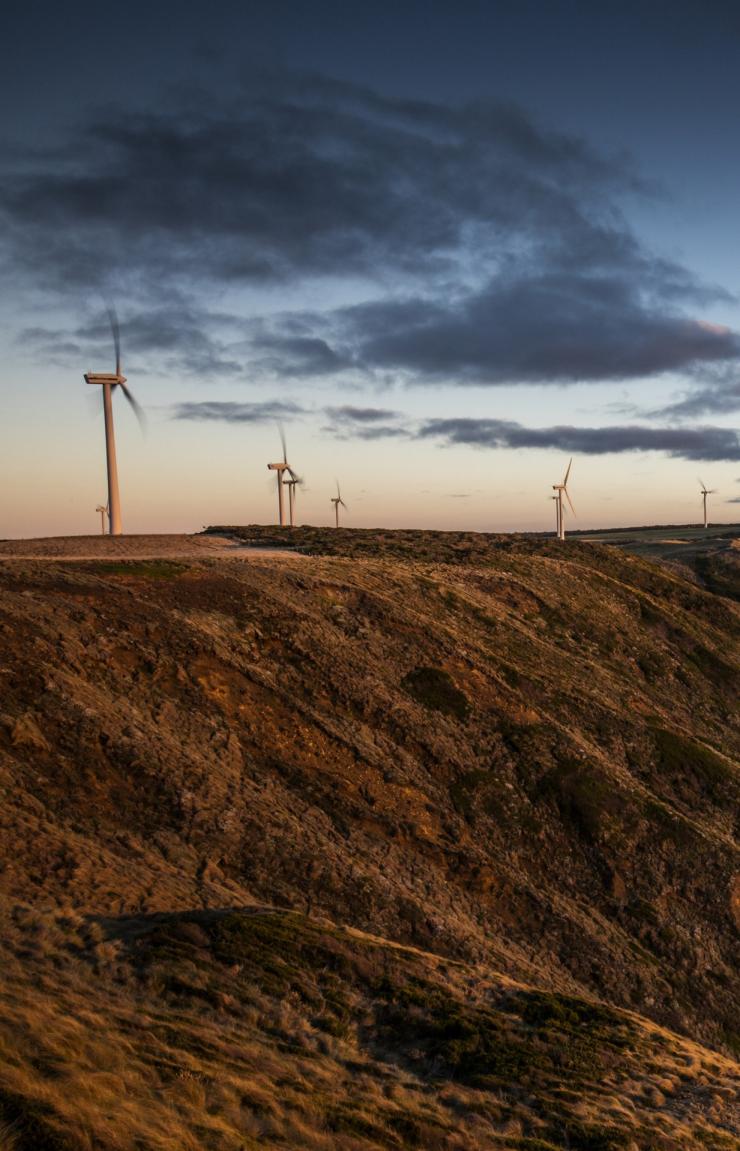 塔斯马尼亚州，北棉庄园©塔斯马尼亚旅游局版权所有