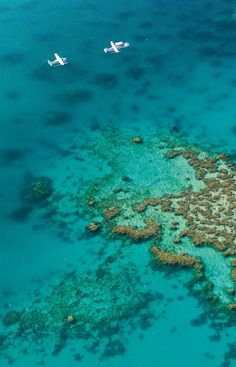 昆士兰州，大堡礁，哈迪礁 © 澳大利亚旅游局版权所有