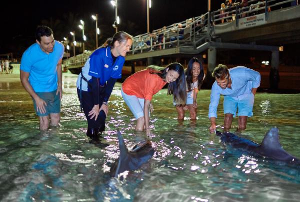 昆士兰州，摩顿岛，在天阁露玛度假村给海豚喂食 © 澳大利亚旅游局，昆士兰州旅游及活动推广局版权所有