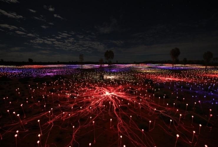 北领地，乌鲁鲁卡塔丘塔国家公园，布鲁斯 · 芒罗原野星光展 © Mark Pickthall 版权所有