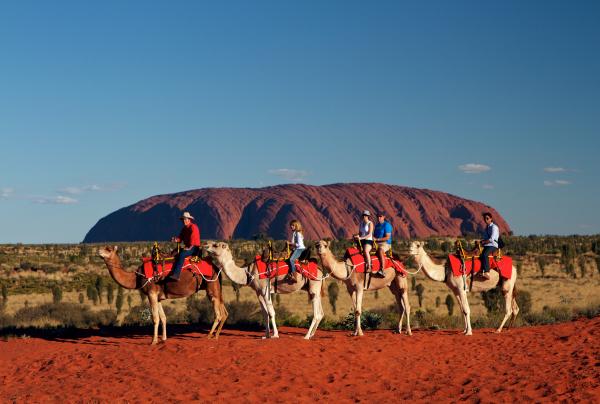 北领地，乌鲁鲁卡塔丘塔国家公园，乌鲁鲁骆驼之旅 © Uluru Photography Damien V Hill 版权所有