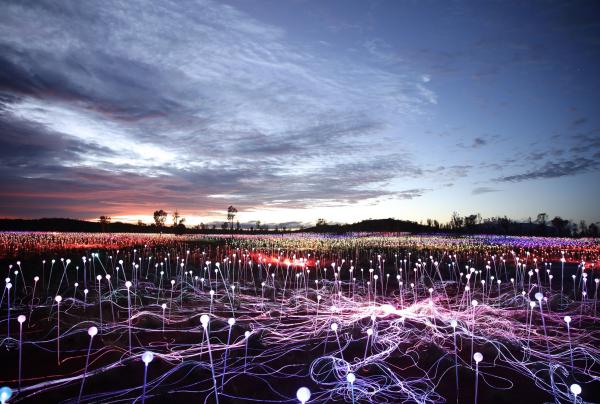 北领地，乌鲁鲁卡塔丘塔国家公园，原野星光展 © Voyages Marketing 版权所有