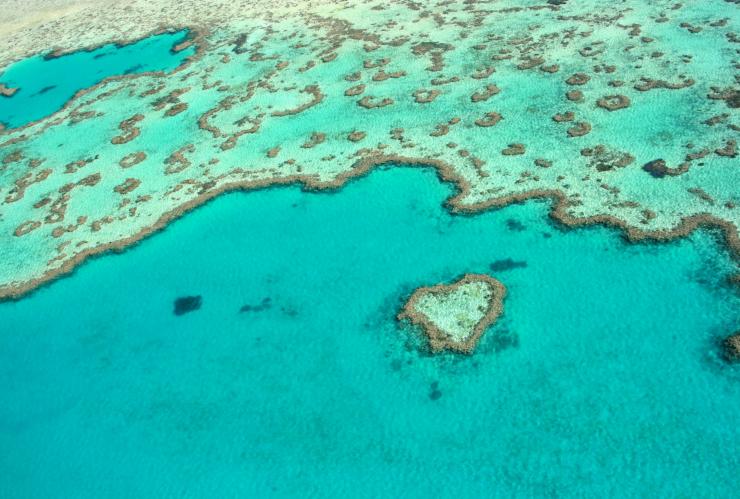 昆士兰州，大堡礁，心形礁 © 圣灵群岛旅游局版权所有