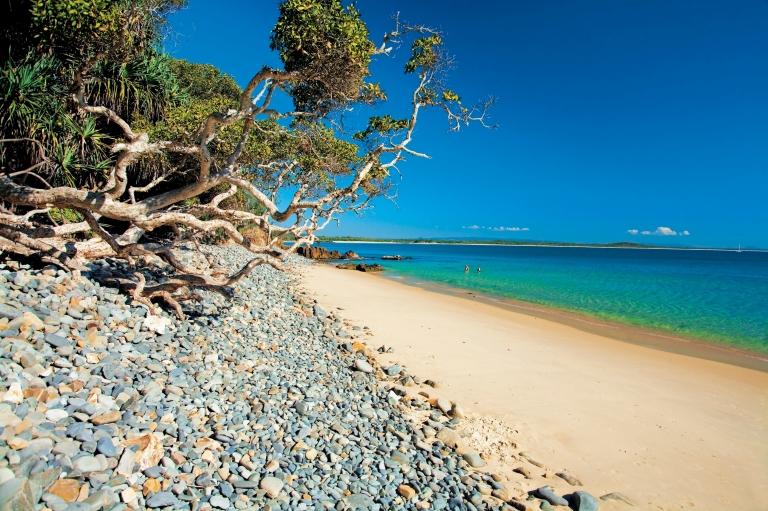 昆士兰州，阳光海岸，努沙，小湾海滩 © 阳光海岸旅游局版权所有