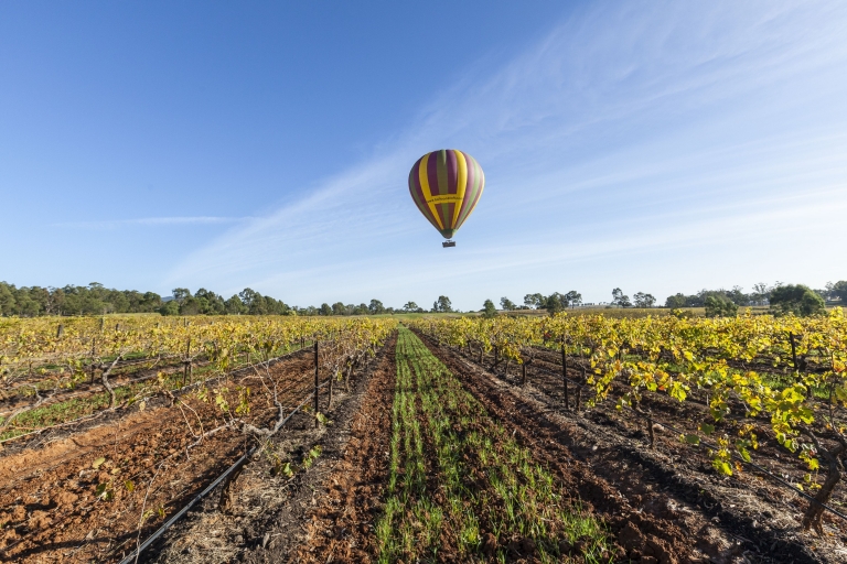 新南威尔士州，猎人谷，乐浮热气球 © 新南威尔士州旅游局 Murray Vanderveer 版权所有