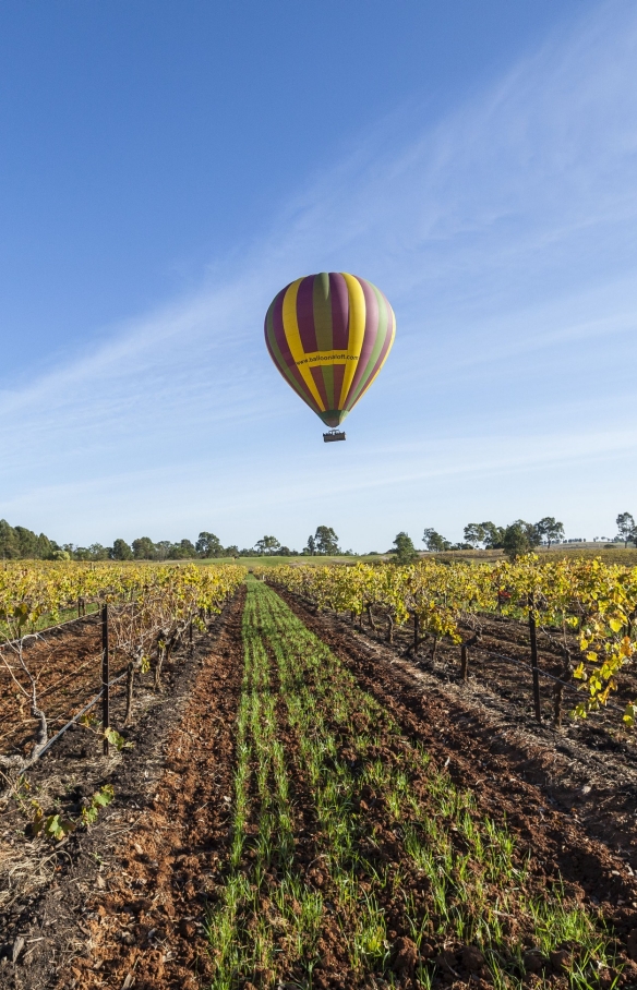 新南威尔士州，猎人谷，乐浮热气球 © 新南威尔士州旅游局 Murray Vanderveer 版权所有