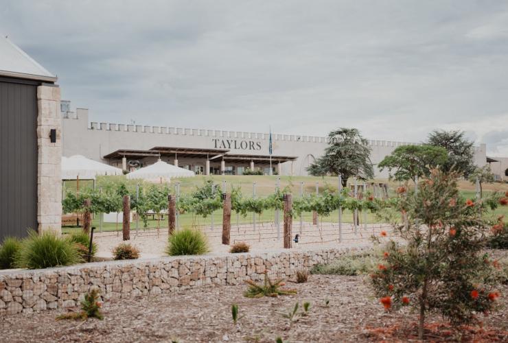 南澳大利亚州，嘉利谷，泰勒斯酒庄外景 © Taylors Wines 版权所有