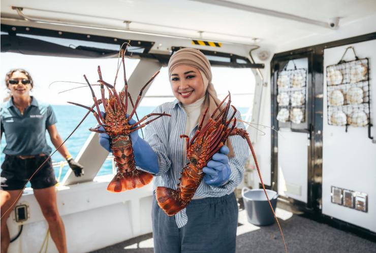 西澳大利亚州，巡游途中捕获的新鲜龙虾 © Sea West 版权所有