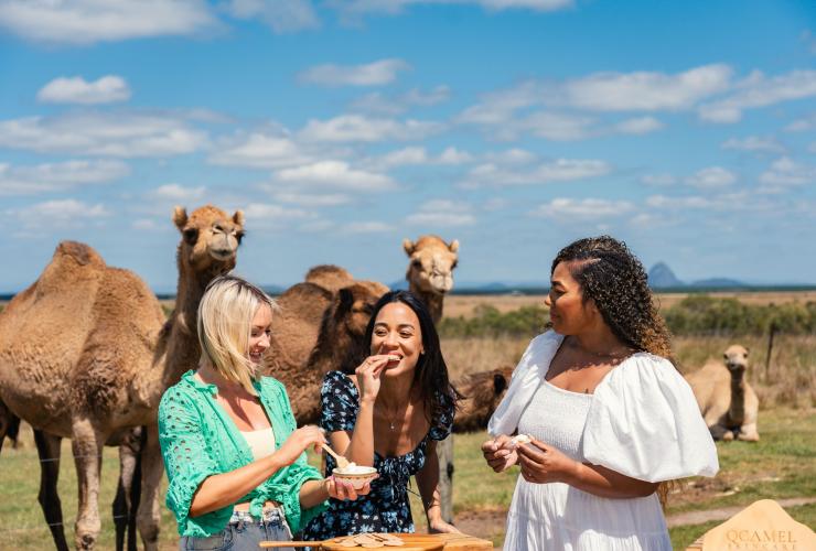 昆士兰州，阳光海岸，三位女士正在享用早茶，背景中骆驼悠闲踱步 © Mystical Mountain Tours 版权所有