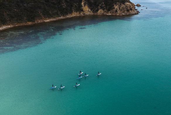 WAM 旅行社的摩林顿半岛桨板导览之旅 © Neisha Breen Photography 