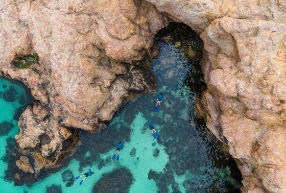 摩林顿半岛海滩浮潜导览之旅 © Neisha Breen Photography