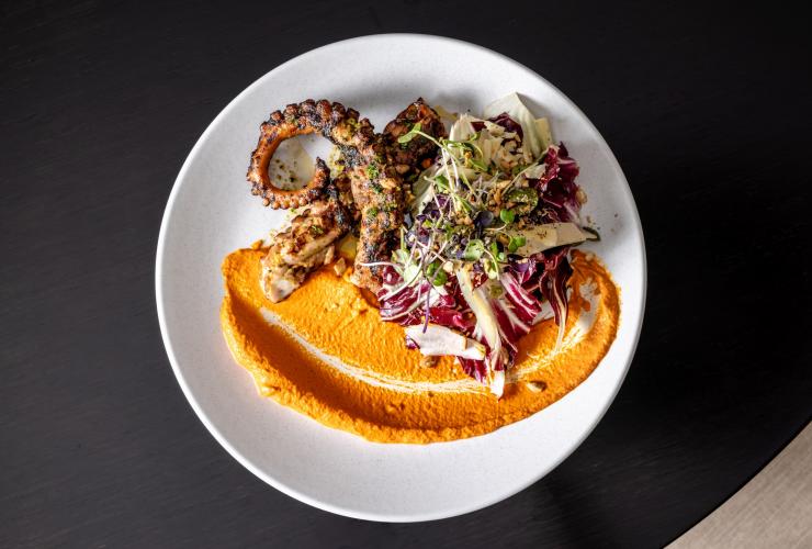 盛在白色盘子中的烤章鱼配卷心菜沙拉和一抹南瓜泥 © MACq01 版权所有