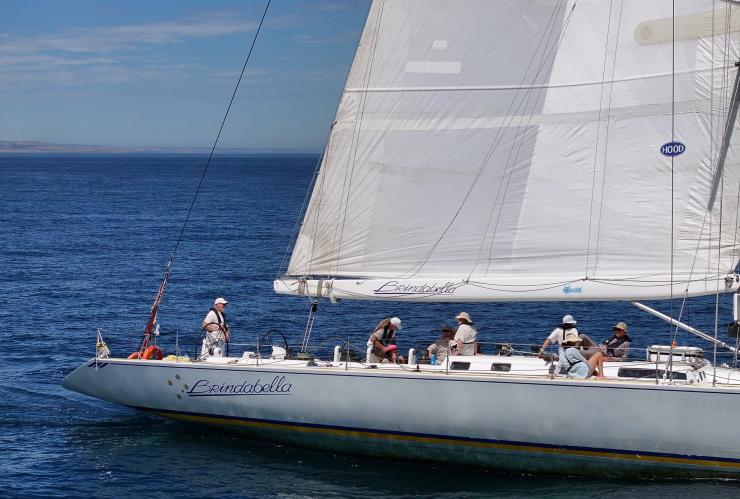 在海上乘坐“布瑞德贝拉号”帆船的游客近景 © 布瑞德贝拉航海之旅版权所有